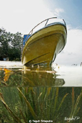 A boat with some kind of sea weed underneath... by Teguh Tirtaputra 